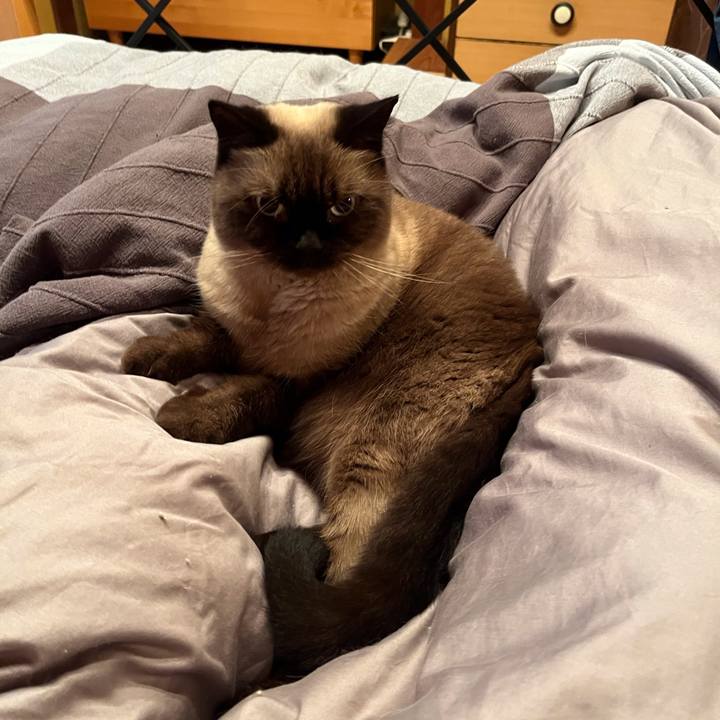 Cb0e7857 852a 4f56 a2da 37f9af268a00 1728302065121