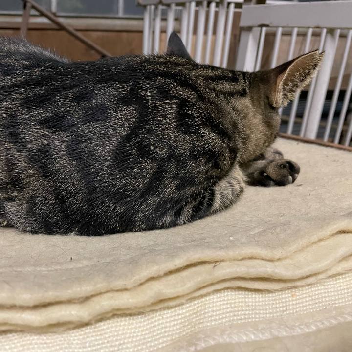 Cb0e7f25 6b6e 40a4 ae32 6b78b4cf4cdb 1664290868442