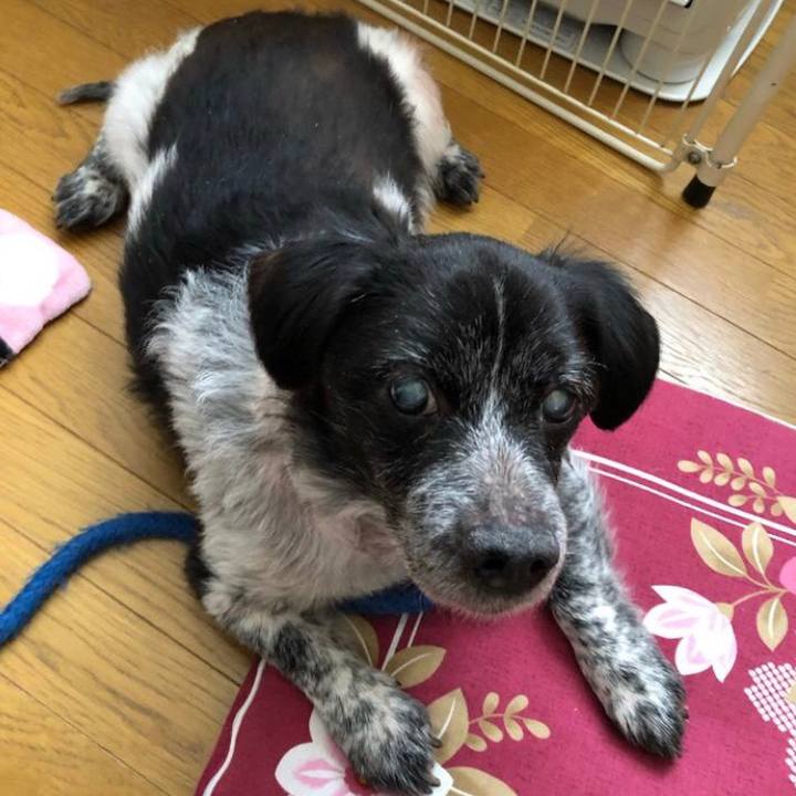 Cb0ea647 0ab8 4b5a 9ad0 b4711e452f49 1564752646822