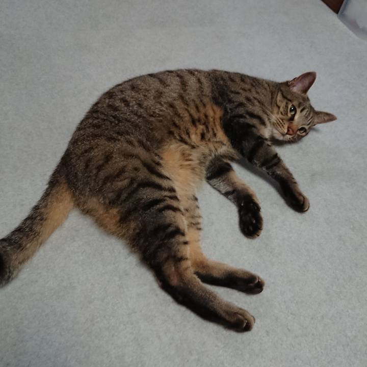 Cb0eb6b7 0e85 4c02 992d 2a5a0bd90e32 1561807588926