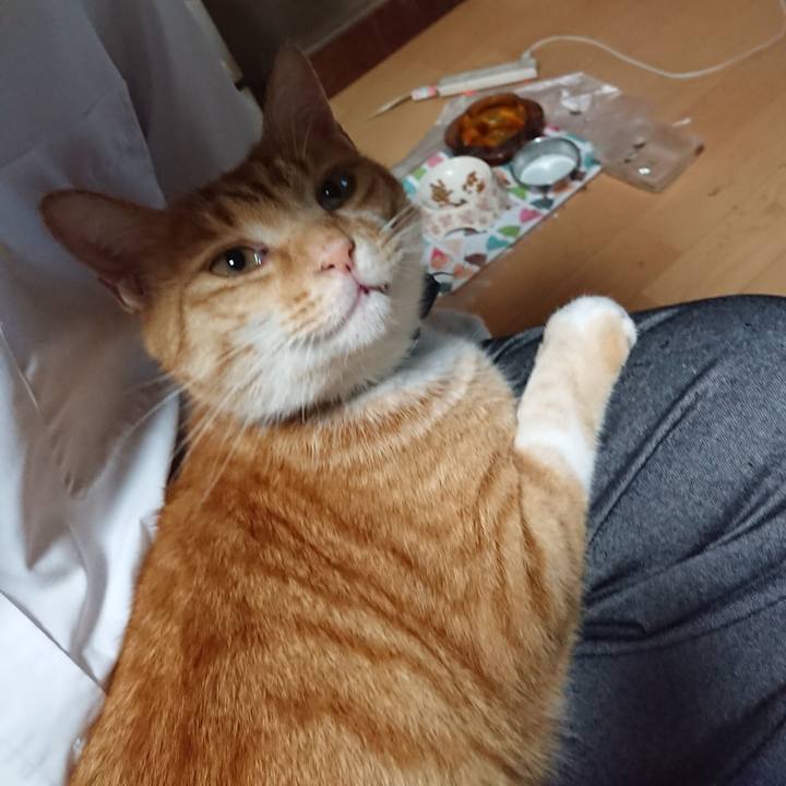 Cb0eb8e3 a0b1 4cd5 b1f8 c86c8d31b653 1601588994212