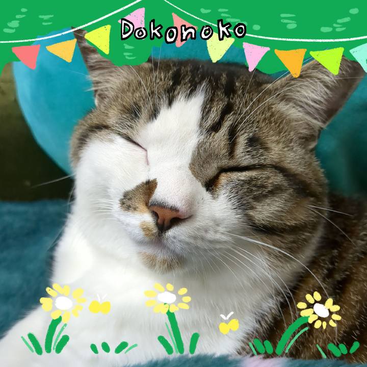 Cb0ef0dd efc2 4e18 8504 58d31d945f84 1711014626159