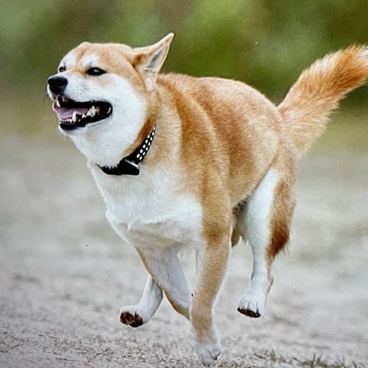 Cb0f257e 361a 4003 835b a1ab3c678187 1632438276695