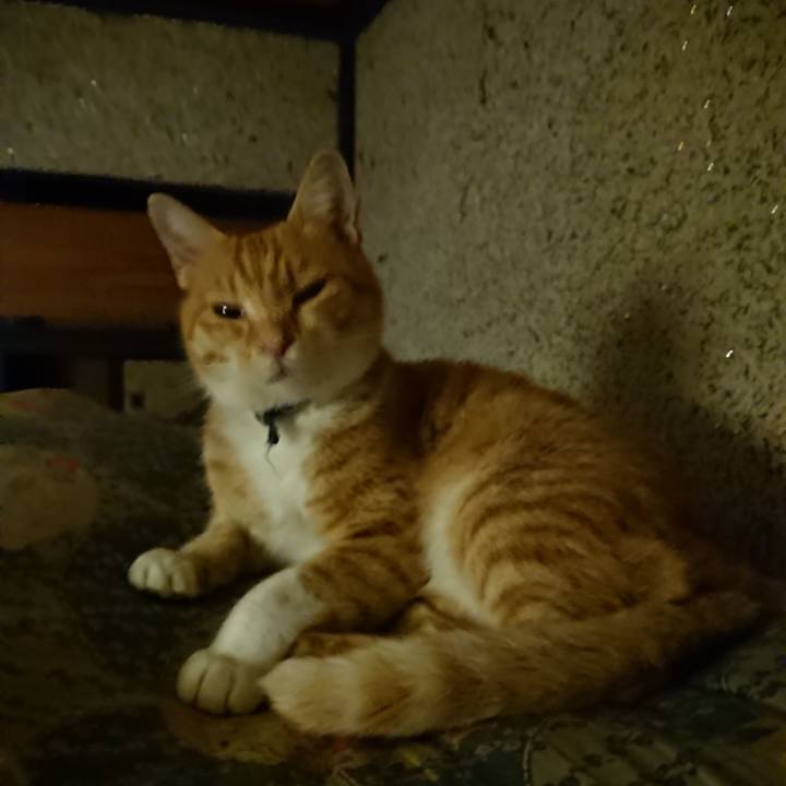 Cb0f8614 8651 49ed 9fd1 14424f43c6b0 1601897495665