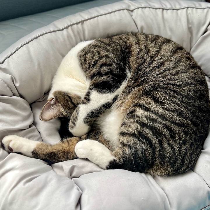 Cb0fd7b6 9806 4822 8c28 8b427fa75ecf 1765029723267