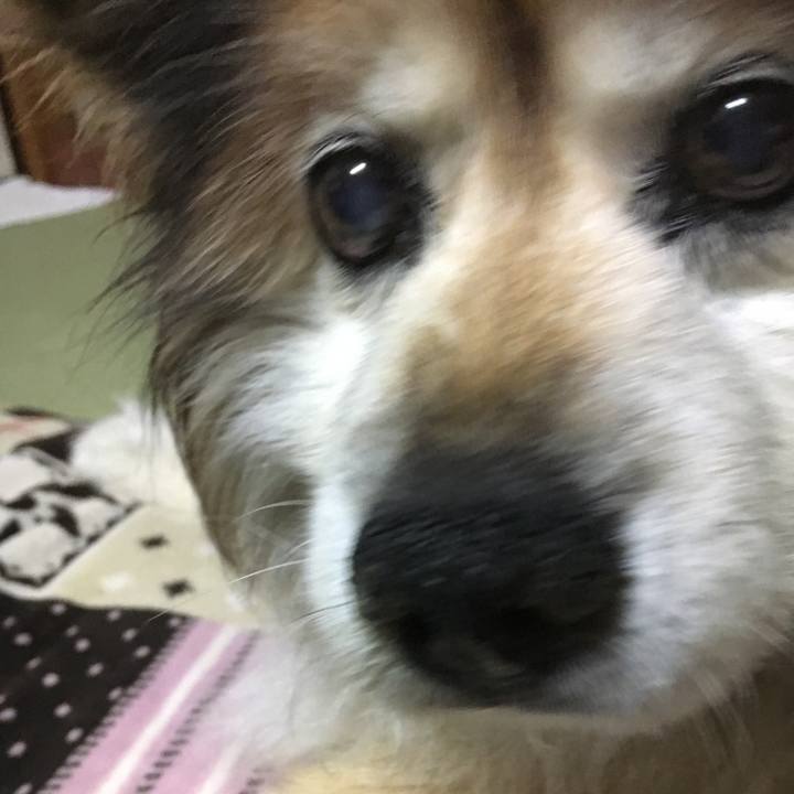 Cb0fda71 617e 4c44 ada7 d6ea0f1285a7 1561881921966