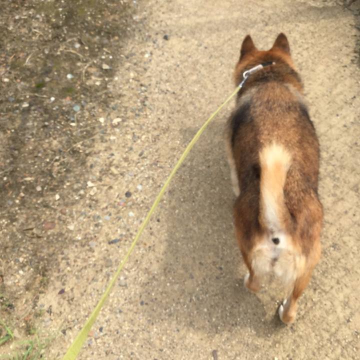 Cb0fe8cc 6264 4a18 9ee5 4d24772bd6ea 1629777348119