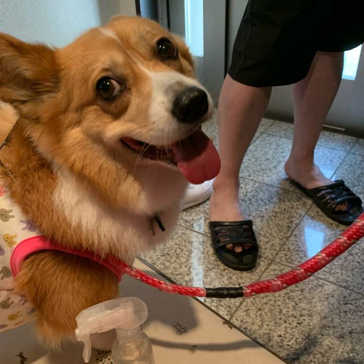 Cb1027a4 e7e3 4b17 9a91 ef4f4858e061 1590621804322