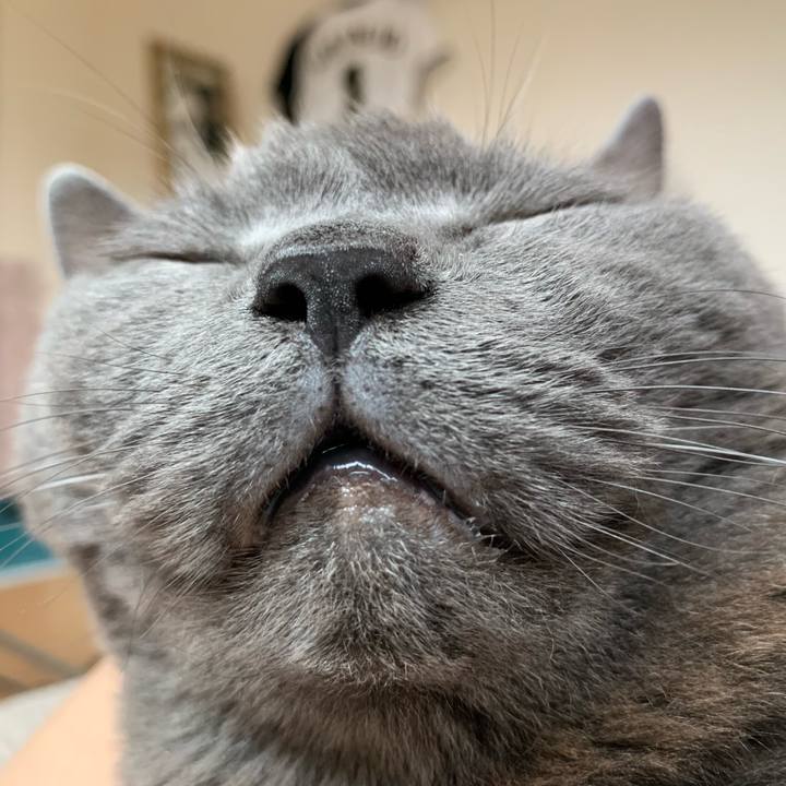 Cb102dbf 650d 42b7 a47e 1bf50154ec29 1751061347710