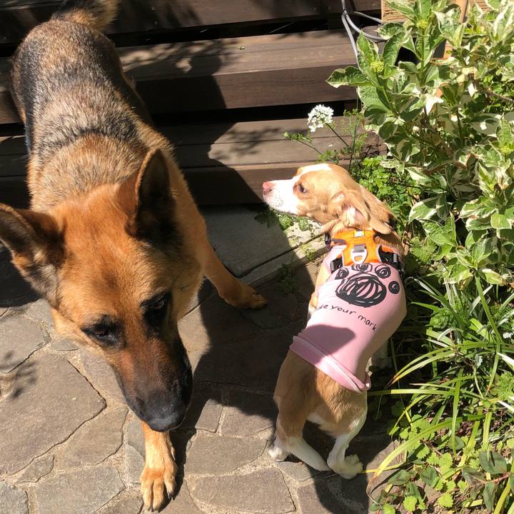 Cb1046d5 d0b8 4824 b036 fa7f831a22dd 1527691941316