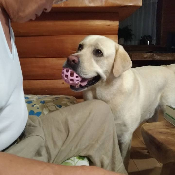 Cb1098a5 abb9 4c0b b9ef 2f43715c3328 1593874817433