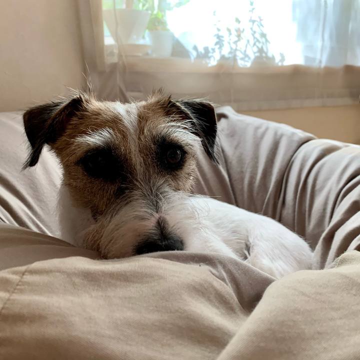 Cb10c2c3 62dd 42ba 936e ab79bb2b1045 1603848968885