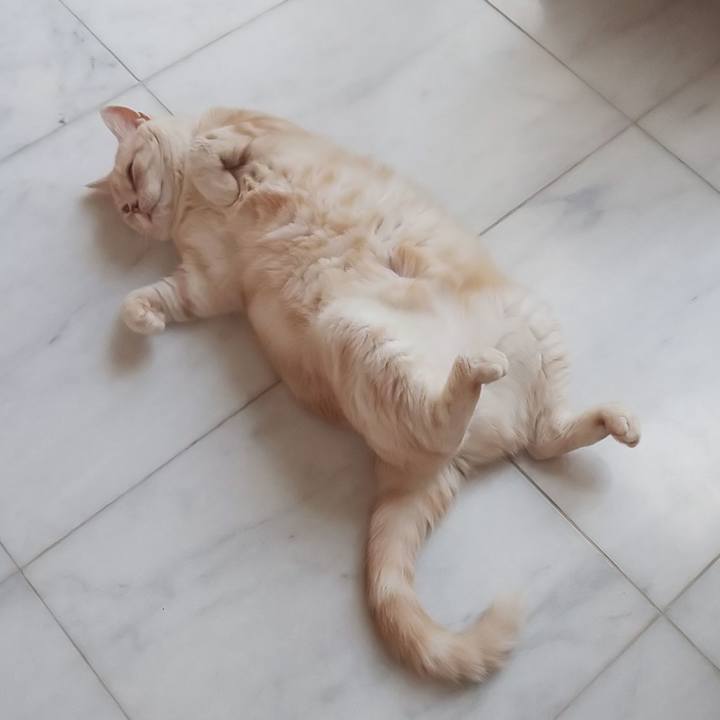 Cb10d744 0bc8 474b 8e5a edbe6f70e2f8 1564117500410