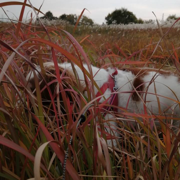 Cb115e94 2e1c 4c59 bc9e 5ea6e0c51386 1605864611719