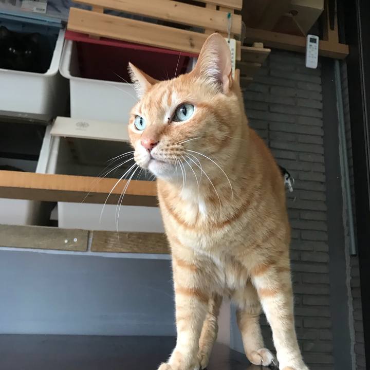 Cb1191bc 3267 4f93 b51b d56f7822d872 1518764557887