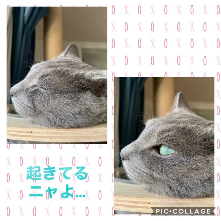 Cb11b1fe 75dc 4dc6 9b3c a87efee9126d 1598338999747