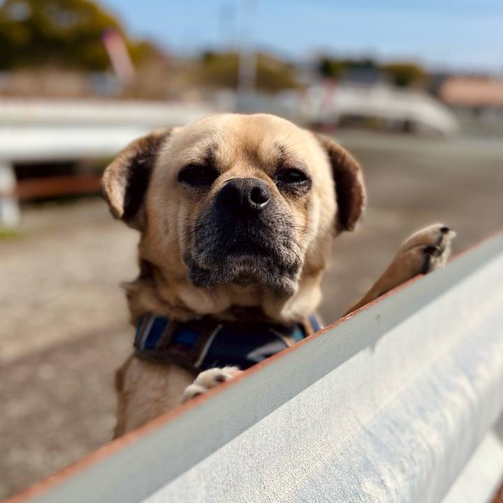 Cb11b396 dcd0 4678 aab3 402bf11de487 1774591742857