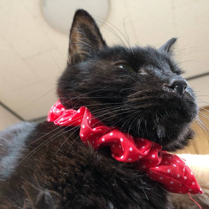 Cb11cd6e a554 44e1 aefa b8aaae5595be 1557091421127