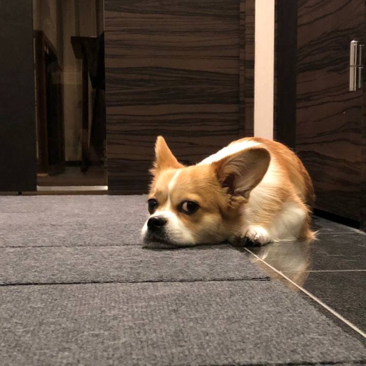 Cb11f28d 9be3 46ec 84b4 6733d7187183 1589108900936