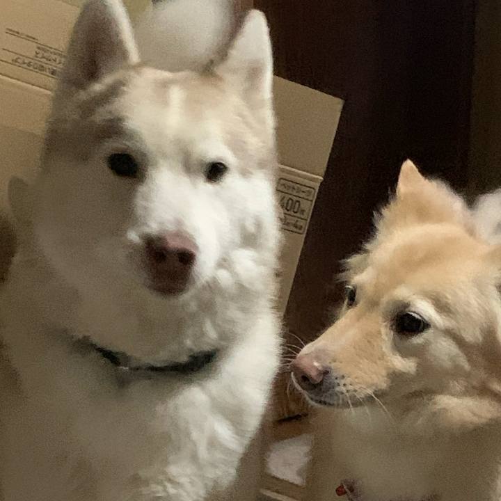 Cb120f8b 122f 44c8 ac92 e5d0c1addef1 1645287701755