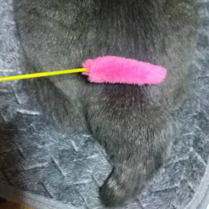 Cb122832 4151 4098 b8c5 0b02f1d6ae59 1667666604278