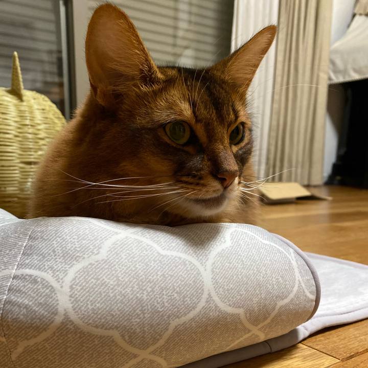 Cb1240f8 52d7 4170 baca 26687c337fca 1697519543925