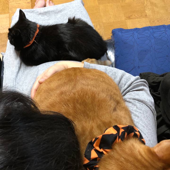 Cb1272cb 67cb 40eb 9cf3 0bed75c17759 1572095835024