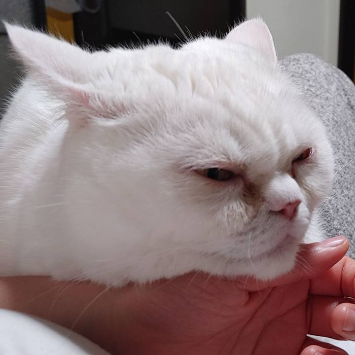 Cb1274e7 3f1e 41fc b2e4 8761efb3db5a 1645950863401