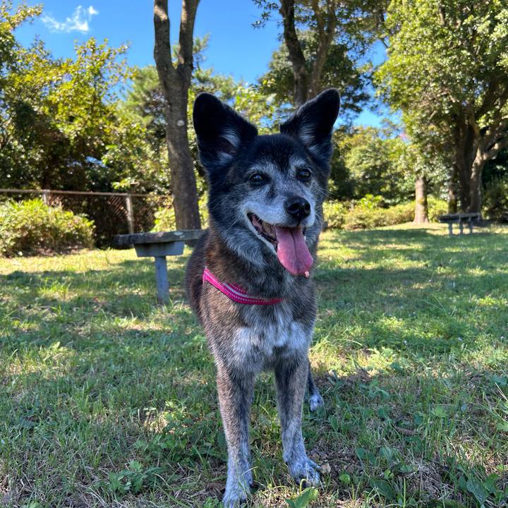 Cb127ffd f114 4239 81bc 3626c0defdbf 1726801910252