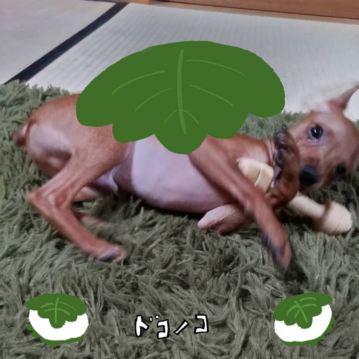 Cb128734 2491 4de4 97fc 9bfb2c30ad07 1749310348374