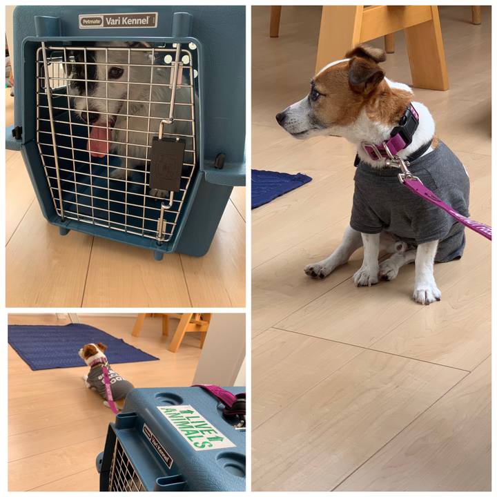 Cb128fc3 49b6 4f68 aca3 e0169c15918c 1562980603967