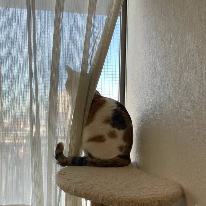 Cb12a4cf b0b6 41f3 ba12 5c9c0831f266 1608852654109