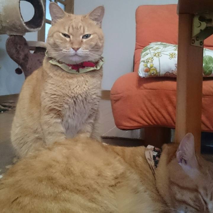 Cb12b9ab f533 4998 92cb 7ea5eb58ad94 1510494437589