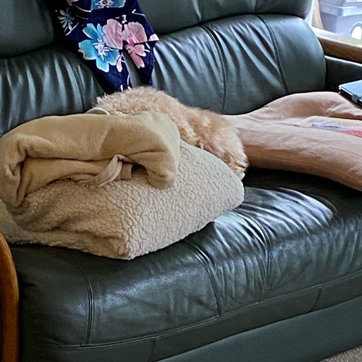 Cb12c317 8834 4c6d 947b 932f32bd50b2 1625528974038