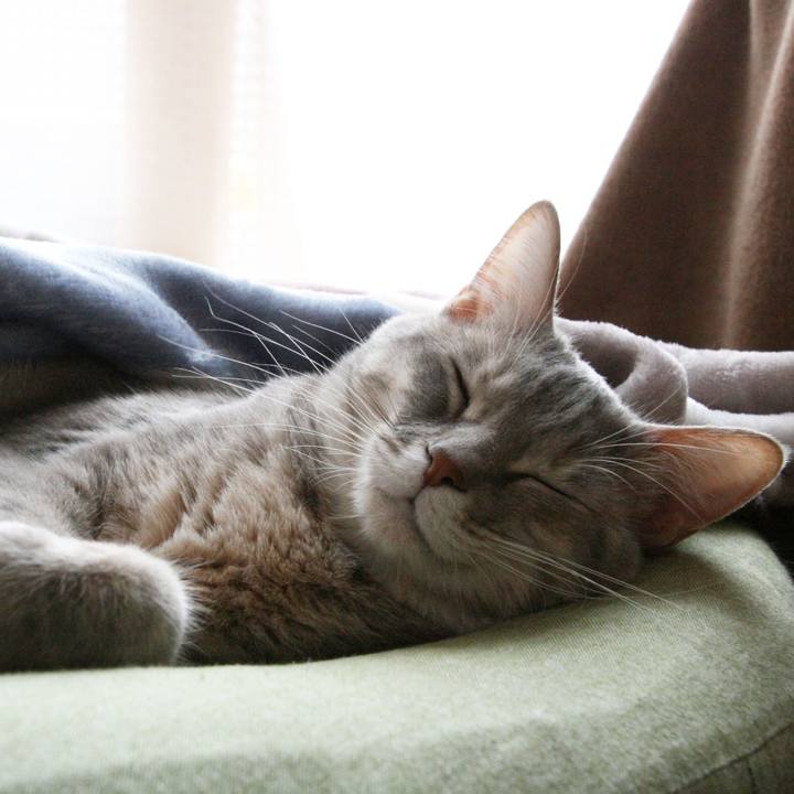 Cb12ee60 ea5b 453b 95e0 07d6b162178d 1521631394260