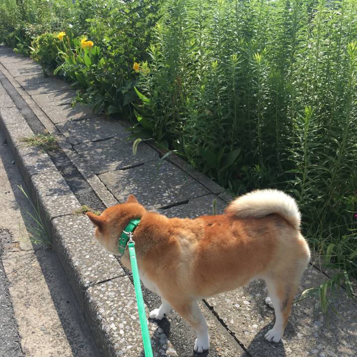 Cb13239c 6f74 4a1a 8e2e 8a5ae8e5e235 1600735584388