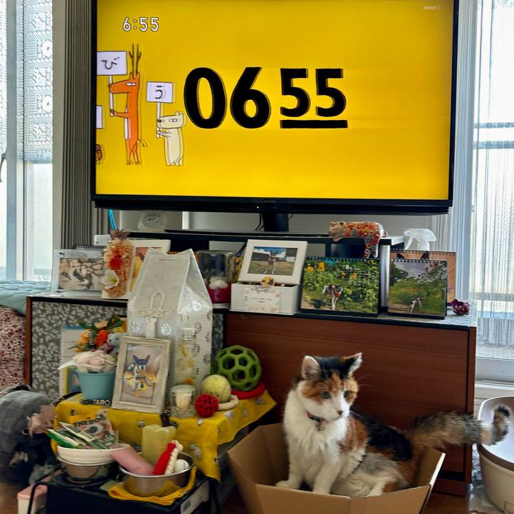 Cb134acd 76f6 4d4e 9b60 33121be24062 1724364319589