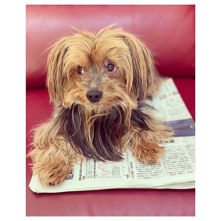 Cb1366ec dbc4 405e bb45 cf61ea53fab6 1549061185861