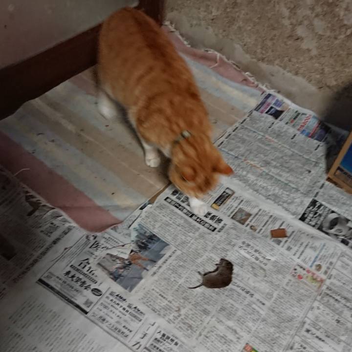 Cb1375c3 bdc3 44e6 b01c adbcccefbfc6 1586290893965