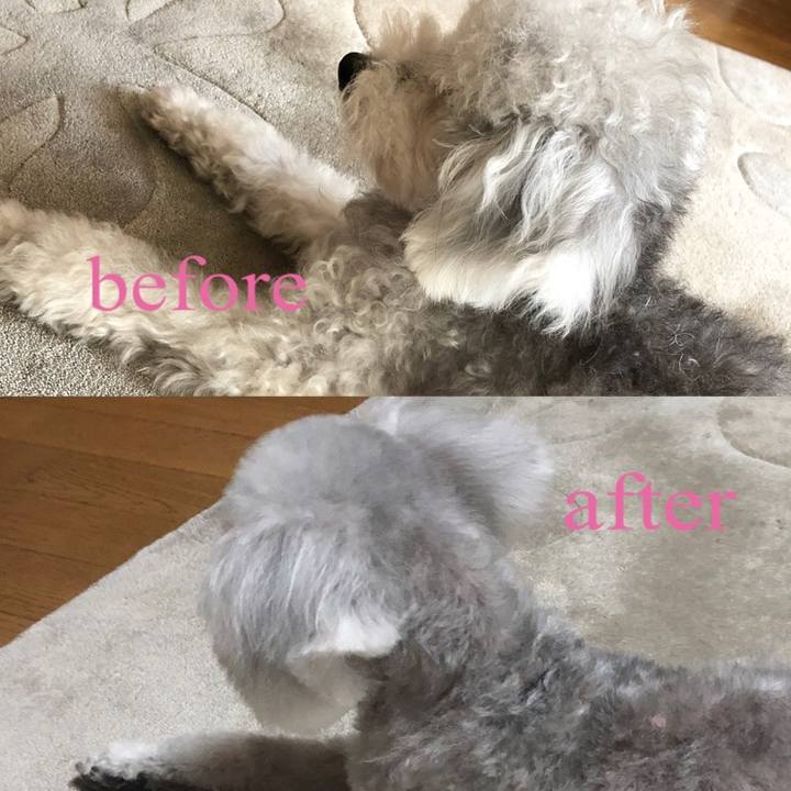 Cb13abd1 6a4a 4dcc 98d2 81f06a9937f3 1632231364249