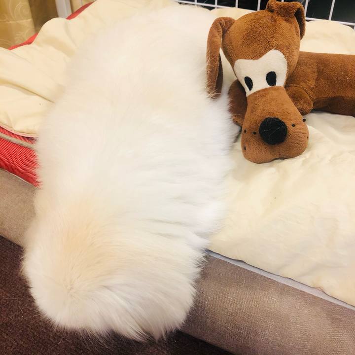 Cb13f0d9 9921 4b6f 8f3c c87e38e8be88 1622112939862