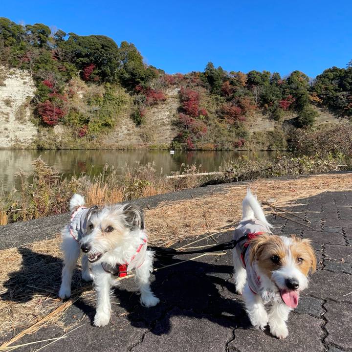 Cb13f25a f980 4698 b0d7 707428654012 1765101147465