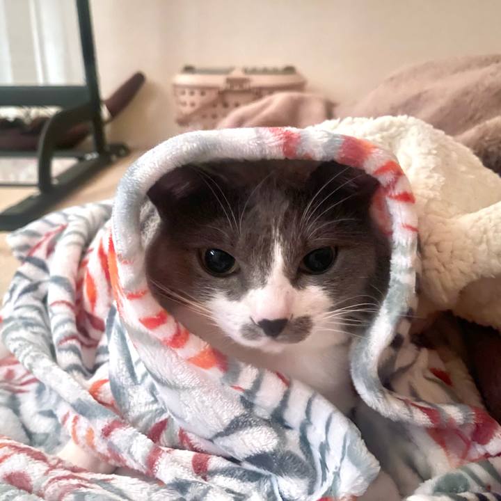 Cb144734 615e 4bb8 940d 8d90397823e5 1674686212390