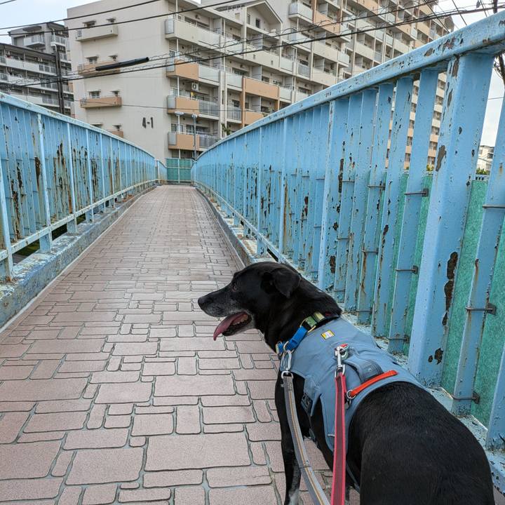 Cb14591d 96ce 4c6f 8f9d 48d2eb9048b4 1724455538267