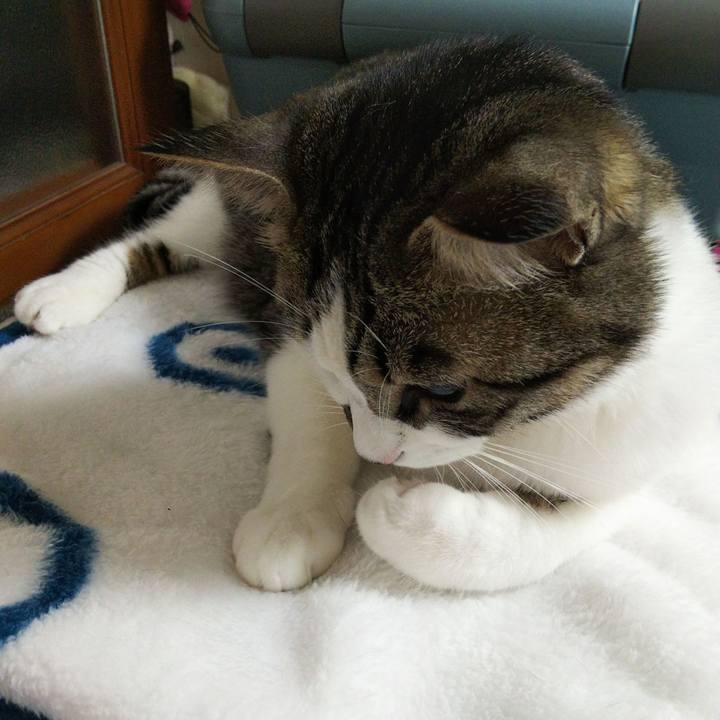 Cb14627e 3c00 47ff 98e6 d86088ced425 1651837549950