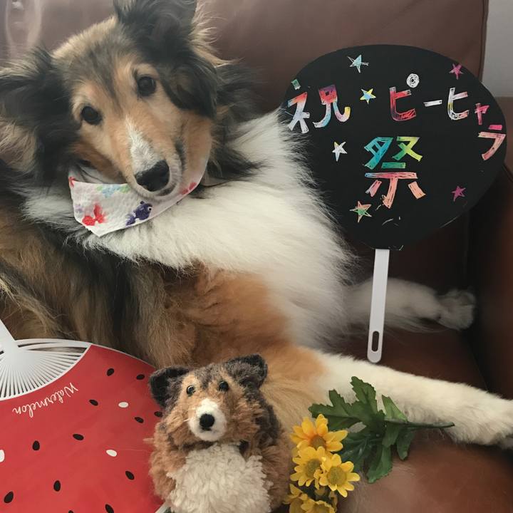 Cb147ccc 8fb9 4213 8273 c2ed9ffcfd0e 1565963708271