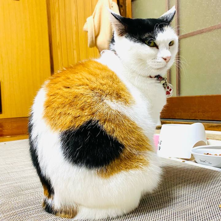 Cb14902b d7ec 45d8 8252 0b5e7bdf1fb6 1744192173468