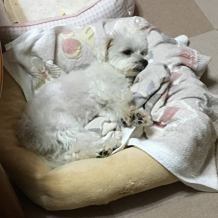 Cb14ab47 a3e9 47e4 b254 c91caa261bb9 1561634691934