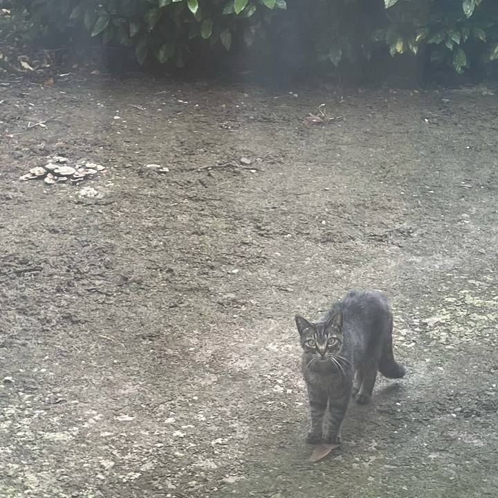 Cb14ceae 8373 4640 9898 d3b0426cdc34 1621639392201