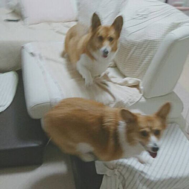 Cb150496 68bf 4384 80dd 149203dd28a6 1512298740589